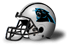 Carolina Panthers of the NFC South