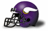 Minnesota Vikings of the NFC North